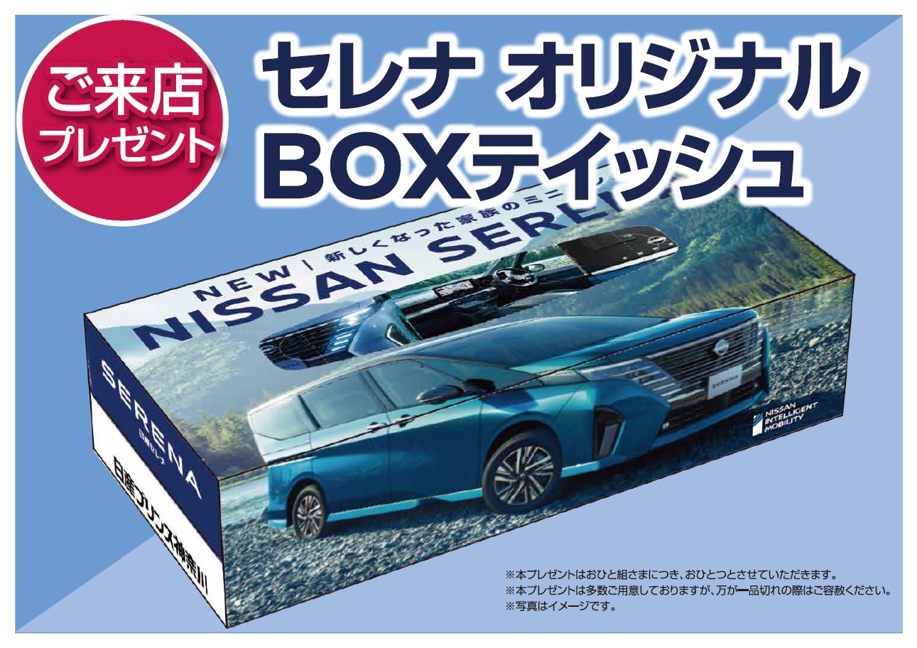 時間指定不可 日産プリンス 自動車 創立 記念品 kead.al